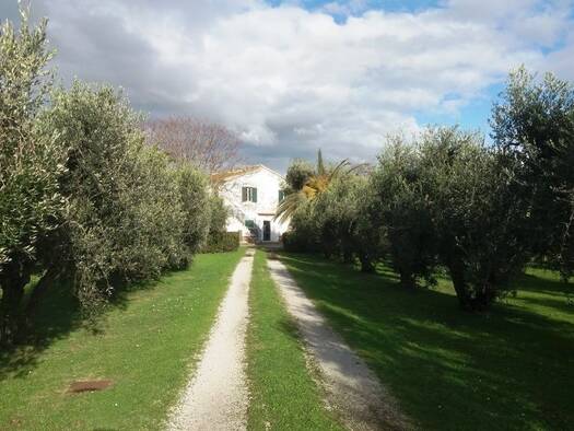Bauernhaus zum Kauf 550.000 € 5 Zimmer 180 m² 110.000 m² Grundstück frei ab sofort Campiglia Marittima