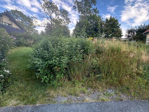 Grundstück zum Kauf 29.000 € 559 m² Grundstück Droßdorf Schloditz 08606