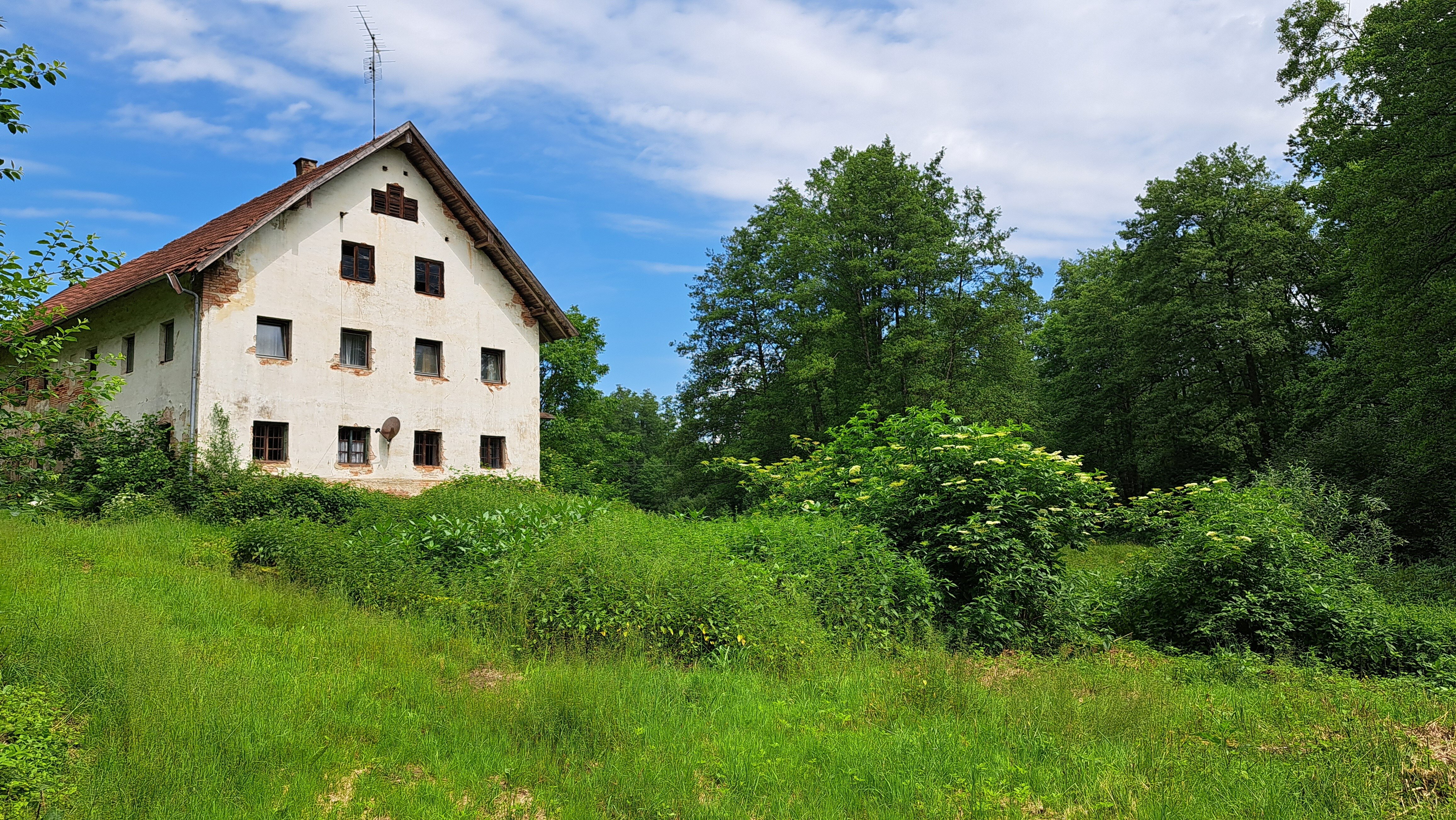 Bauernhaus zum Kauf 498.000 € 6 Zimmer 250 m²<br/>Wohnfläche 41.000 m²<br/>Grundstück Vorderhof Schwarzach 94374