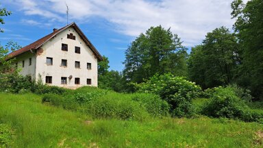 Bauernhaus zum Kauf 498.000 € 6 Zimmer 250 m² 41.000 m² Grundstück Vorderhof Schwarzach 94374