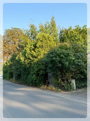 Grundstück kaufen in Mühlenbecker Land Schildow immowelt