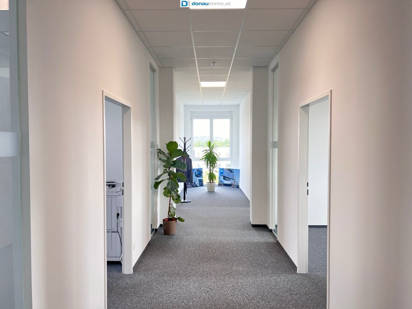 Büro-/Praxisfläche zur Miete 9,90 € 4 Zimmer 150 m²<br/>Bürofläche Gedersdorf 3494