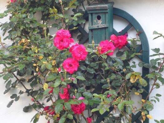 Wohnung zum Kauf als Kapitalanlage geeignet 167.500 € 2 Zimmer 101 m² Medingen Bad Bevensen 29549