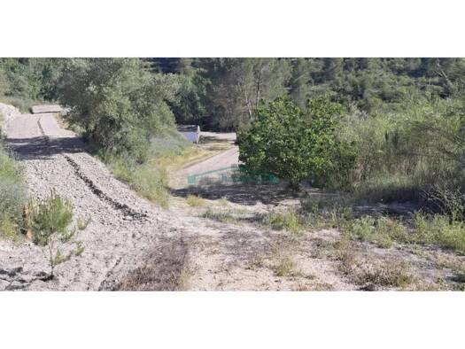 Acker-/Waldstück zum Kauf 37.500 € Cocentaina 03820
