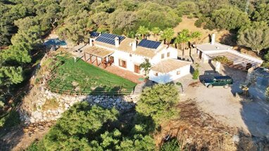 Finca zum Kauf 945.000 € 6 Zimmer 500 m² 70.000 m² Grundstück Alcala de los Gazules 11180