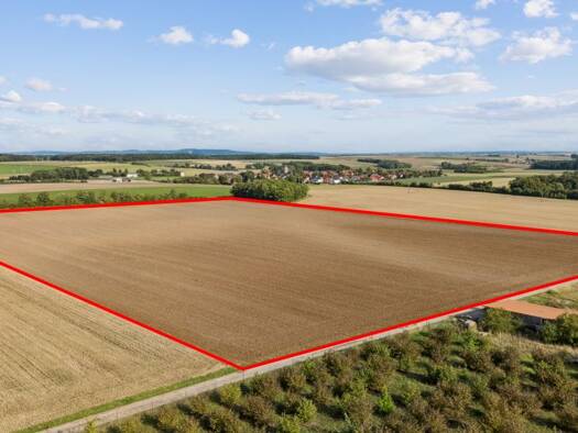 Land-/Forstwirtschaft zum Kauf provisionsfrei 622.000 € 65.481 m² Grundstück Erlach Ochsenfurt 97199