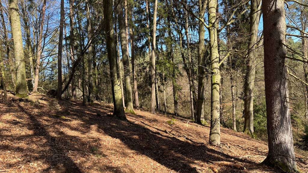 Land-/Forstwirtschaft zum Kauf 65.000 € 17.864 m² Grundstück Stallwang 94375