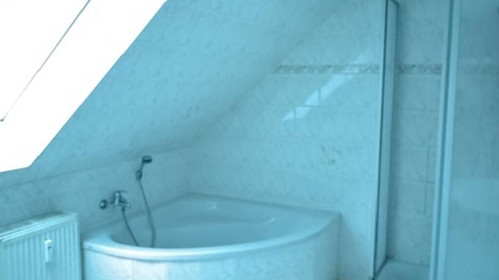 Wohnung zur Miete 235 € 2 Zimmer 47 m² frei ab sofort Roßwein 04741