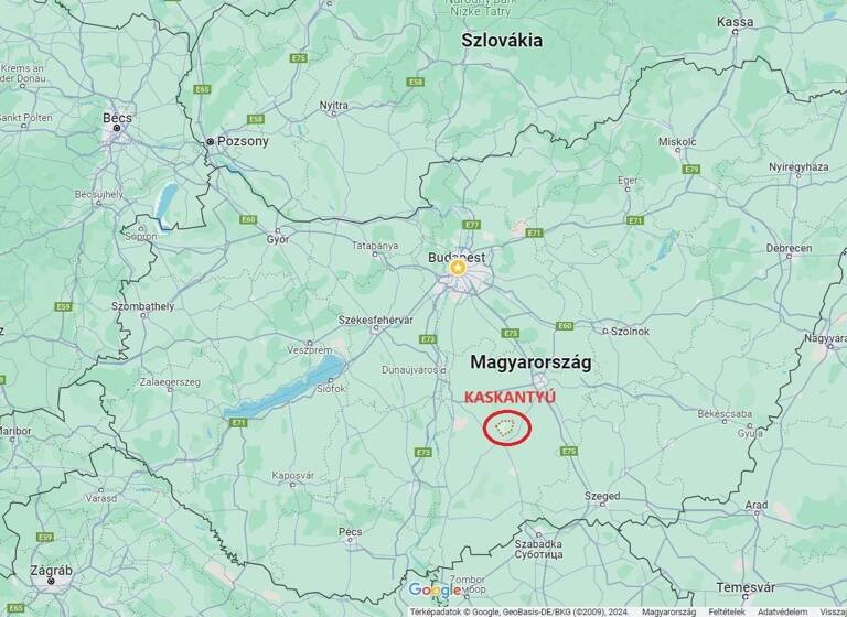 Bauernhof zum Kauf 58.000 € 68 m² 5.528 m² Grundstück Kaskantyú 6211