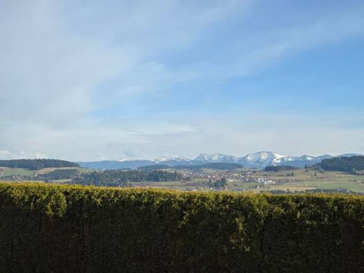 Wohnung zur Miete 950 € 2,5 Zimmer 71 m² Geschoss EG/3 frei ab sofort Kellershub Lindenberg im Allgäu 88161