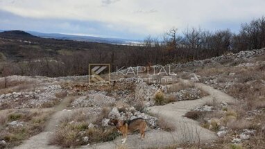 Land-/Forstwirtschaft zum Kauf 75.000 € Krasica