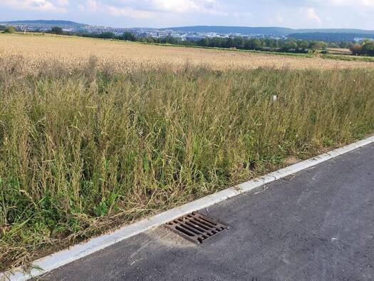 Grundstück zum Kauf 609.000 € 420 m² Grundstück Baugenehmigung vorhanden frei ab sofort Hirschlanden Ditzingen 71254