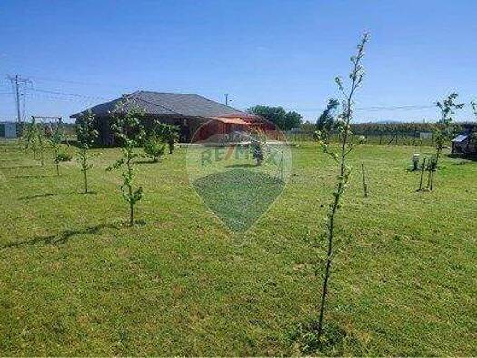 Büro zum Kauf 225.000.000 € Curico