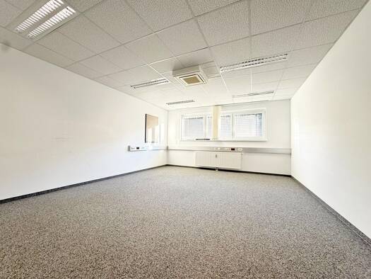 Bürofläche zur Miete 294 € 1 Zimmer 30 m² Bürofläche Leoben 8700
