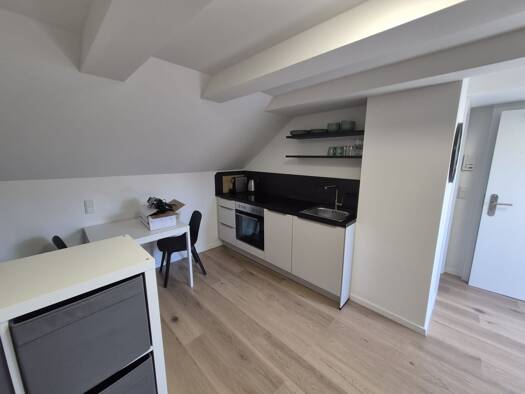 Studio zur Miete 650 € 1 Zimmer 35 m² frei ab sofort Steinbühl Nürnberg 90443