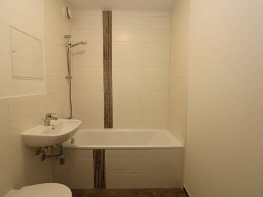 Wohnung zur Miete 299 € 2 Zimmer 40,2 m² 2. Geschoss frei ab 01.09.2026 Paul-Müller-Straße 74 Freiberg Freiberg 09599