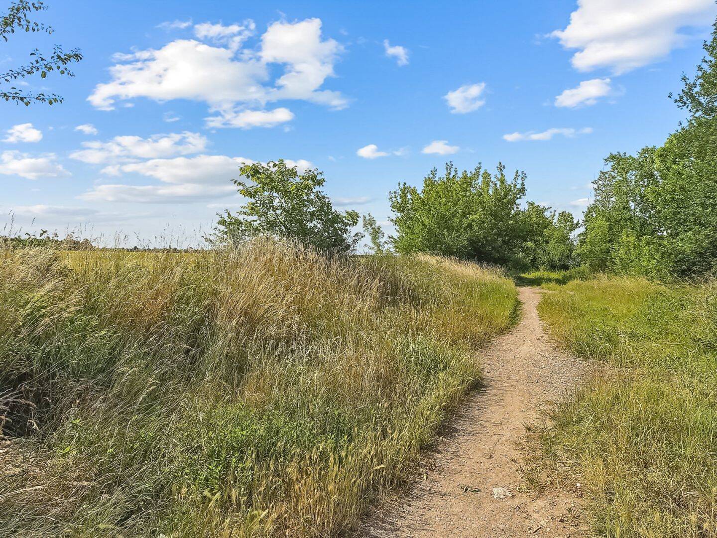 Property thumbnail 18