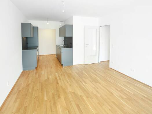 Wohnung zur Miete 788 € 2 Zimmer 56,3 m² 3. Geschoss Groß-Enzersdorfer Straße 66 Wien 1220