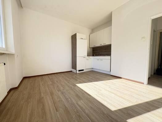 Wohnung zur Miete 395 € 1 Zimmer 21,5 m² 3. Geschoss Unionstraße 33 Waldegg Linz 4020