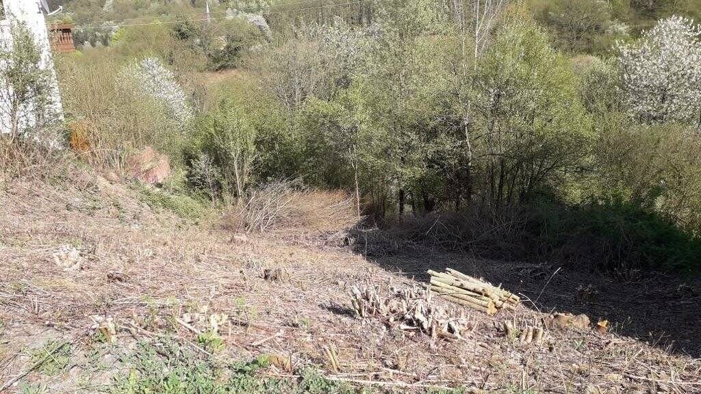 Grundstück zum Kauf 27.000 € 780 m² Grundstück Kreimbach-Kaulbach 67757