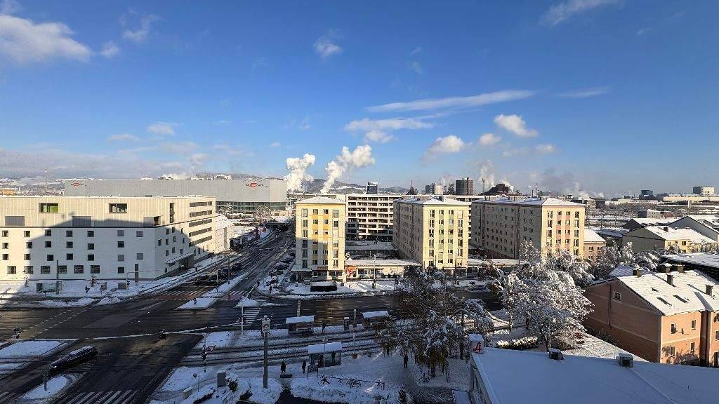 Studio zum Kauf 89.900 € 1 Zimmer 30 m² 10. Geschoss Kleinmünchen Linz 4020