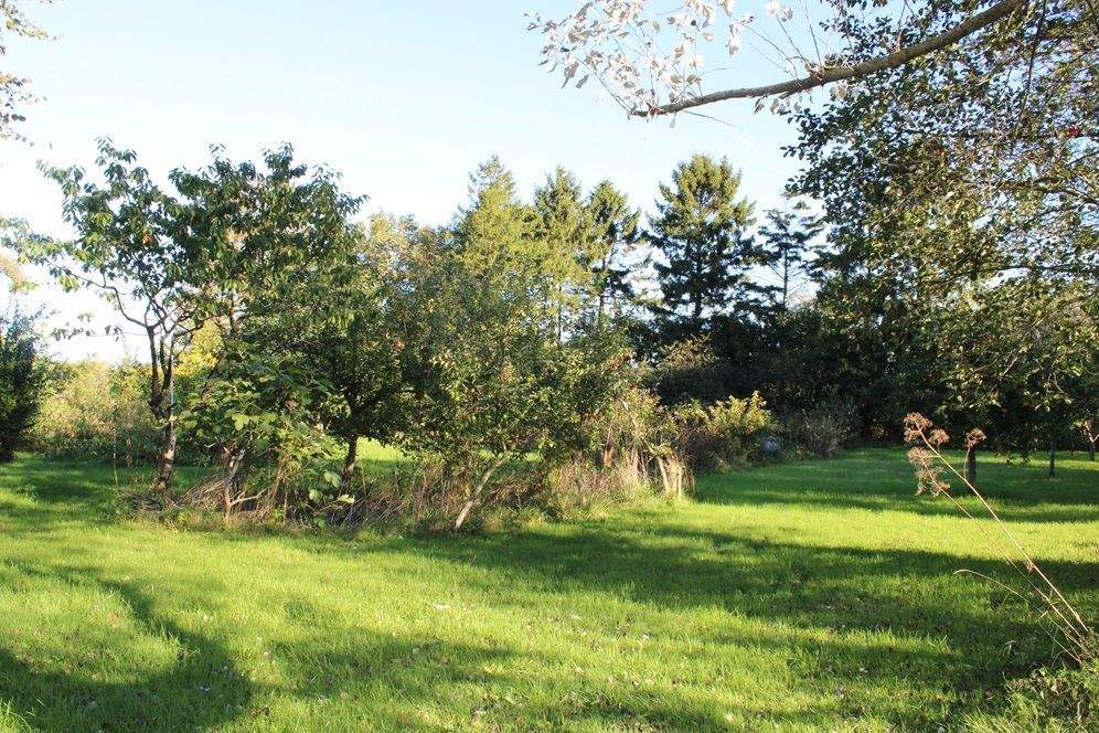 Immobilie in Esens - Nr.: 1530 renov.-bedürftige, gediegene Landstelle in Mamburg  - Bild 2