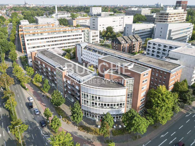 Bürofläche zur Miete 302 m² Bürofläche Sentrup Münster 48149