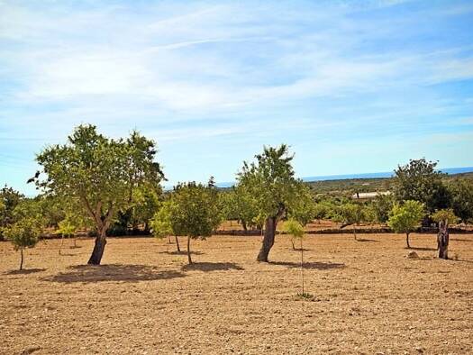Grundstück zum Kauf provisionsfrei 550.000 € 14.678 m² Grundstück Alqueria Blanca