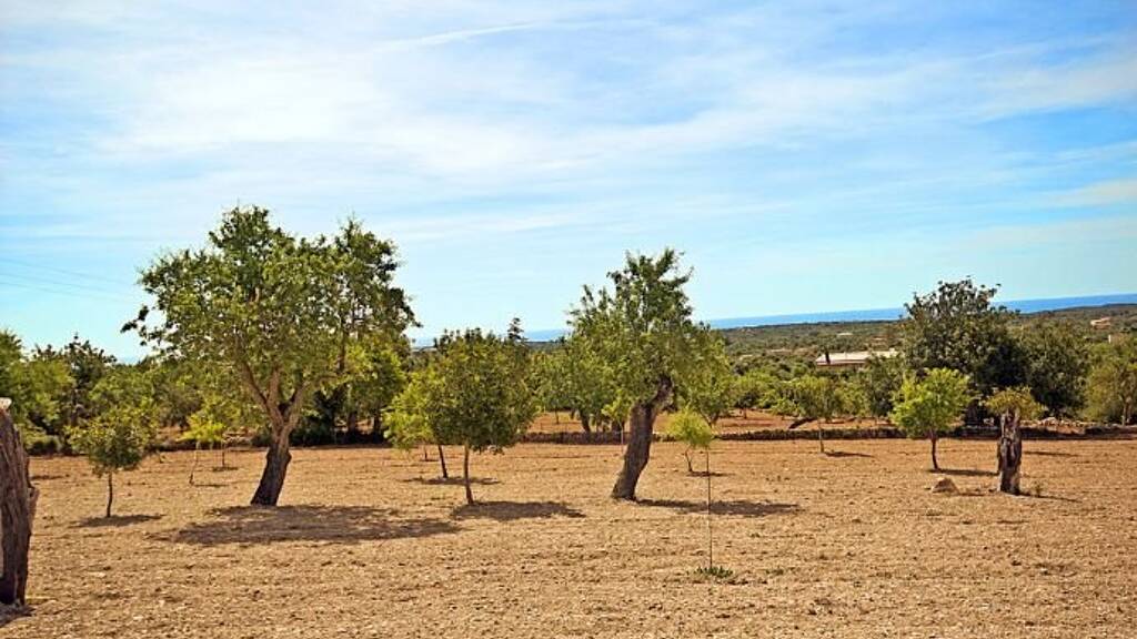 Grundstück zum Kauf provisionsfrei 550.000 € 14.678 m² Grundstück Alqueria Blanca