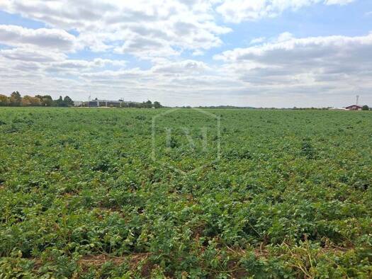 Land-/Forstwirtschaft zum Kauf 537.390 € 35.826 m² Grundstück Holzbüttgen Kaarst 41564