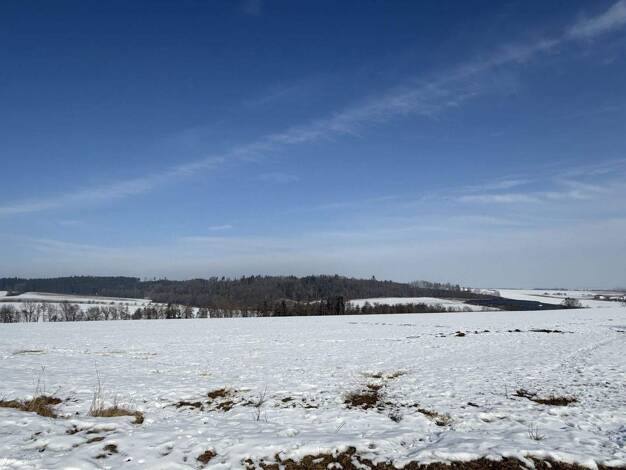Land-/Forstwirtschaft zum Kauf 68.310 m² Grundstück Pilsting 94431