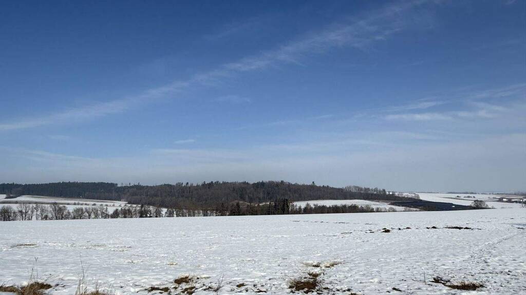 Land-/Forstwirtschaft zum Kauf 68.310 m² Grundstück Pilsting 94431