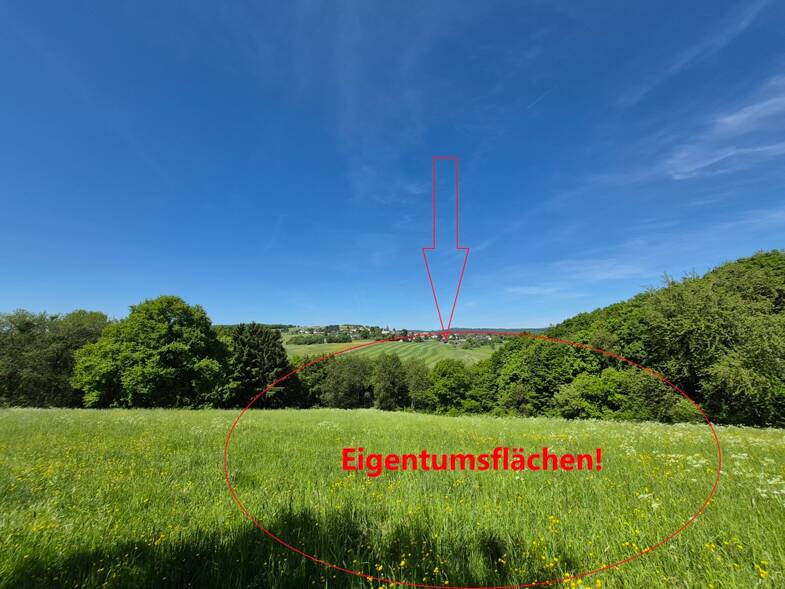 Haus zum Kauf 13 Zimmer 265 m² 815.000 m² Grundstück Veitsrodt 55758