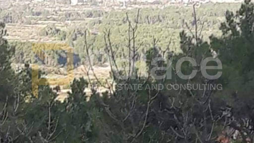 Land-/Forstwirtschaft zum Kauf 145.000 € Hvar