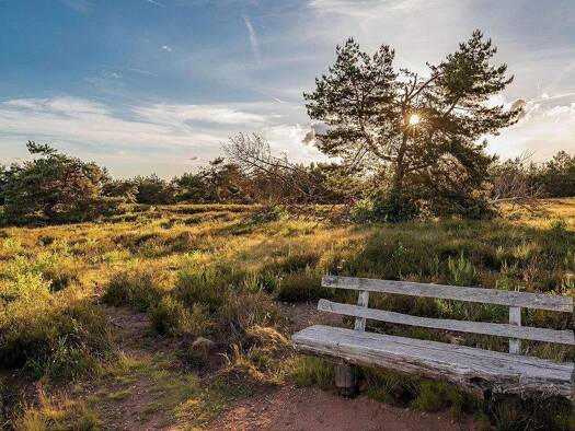 Wohnung zum Kauf provisionsfrei 478.540 € 4 Zimmer 134,8 m² EG Ullersdorf Radeberg 01454