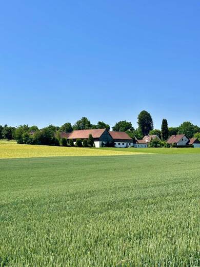 Haus zum Kauf 579.000 € 265 m² 4.668 m² Grundstück Reisach Vilseck 92249