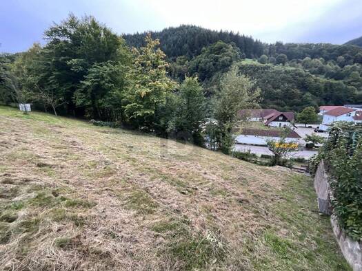 Grundstück zum Kauf 77.500 € 363 m² Grundstück Weisenbach 76599