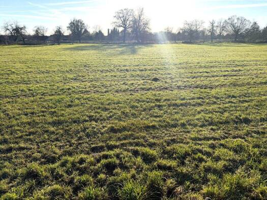 Landwirtschaftliche Fläche zum Kauf 60.000 € 7.216 m² 7.216 m² Grundstück Ederen Linnich 52441