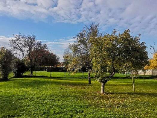 Grundstück zum Kauf 170.000 € 561 m² Grundstück Breitenbrunn 7091