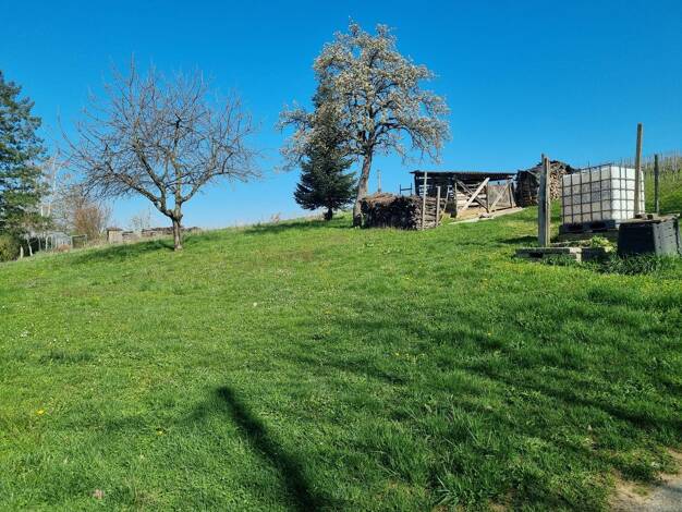 Grundstück zum Kauf 917 m² Grundstück Britzingen Müllheim 79379