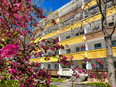 Wohnung zur Miete 238 € 1 Zimmer 41 m² EG Salutstraße 17 Eckersbach Zwickau 08066