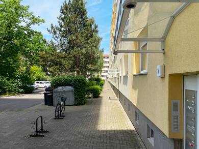 Wohnung zur Miete 290 € 1 Zimmer 36 m² EG Alfred-Brehm-Weg 14 Halle (Saale) 06122