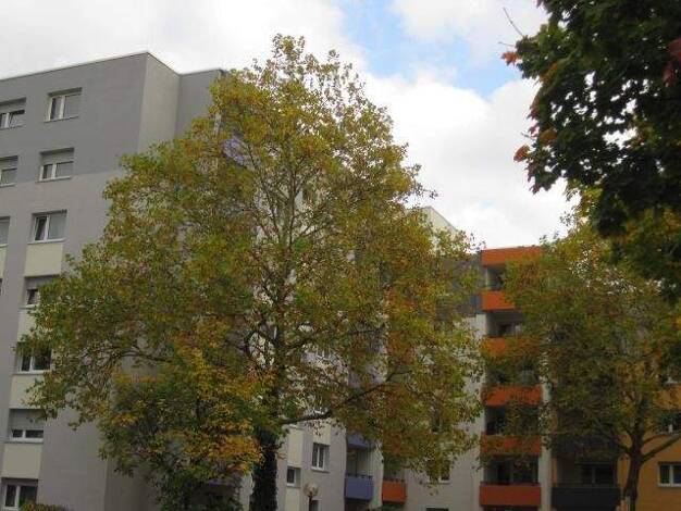 Wohnung zur Miete 1.135 € 4,5 Zimmer 92,4 m² 5. Geschoss frei ab 08.11.2025 Kriegsstr. 236 d Südweststadt Karlsruhe 76135