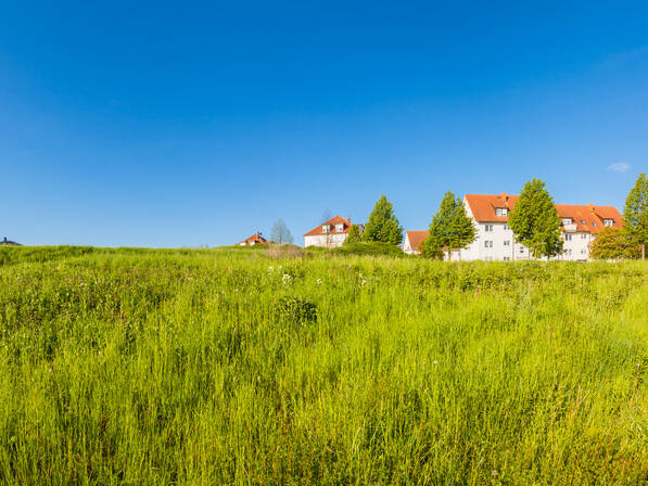 Grundstück zum Kauf 284.320 € 14.216 m²<br/>Grundstück Wald Wald 88639