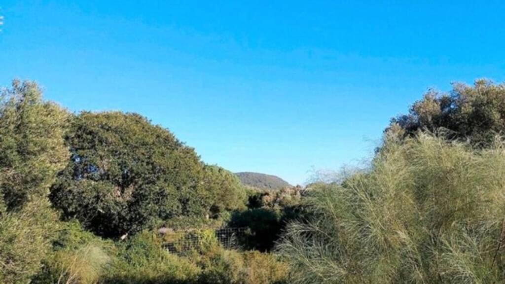 Grundstück zum Kauf 98.900 € 1.090 m² Grundstück Zahora 11159