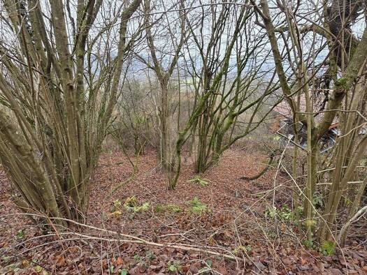 Freizeitgrundstück zum Kauf 30.000 € 823 m² Grundstück Eberbach 69412