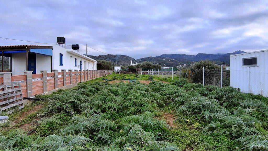 Land-/Forstwirtschaft zum Kauf 120.000 € 700 m² Grundstück Kreta