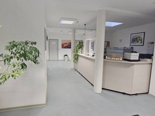 Praxisfläche zur Miete provisionsfrei 157,1 m² Bürofläche Wolfhager Straße 398 Harleshausen Kassel 34128