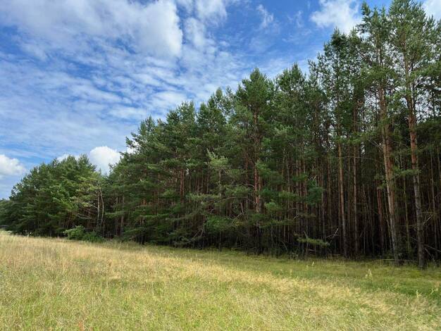 Land-/Forstwirtschaft zum Kauf 99.000 € 82.310 m² Ziltendorf 15295