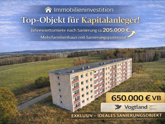 Mehrfamilienhaus zum Kauf 650.000 € 7.380 m² Grundstück Schönau Trieb 08239